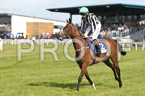 Frenka 3rd , Jockey C D Hayes - CU2D0456-e