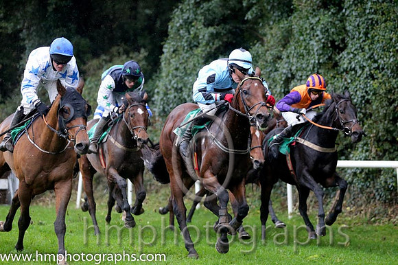 03 Darwins Theory and G N Fox - - 03rd (1 ,Light blue, dark blue diamond ) Trainer - J Queally