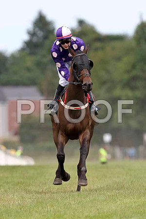 Pittori 4th, Jockey D E Mullins - FT8E1508-e
