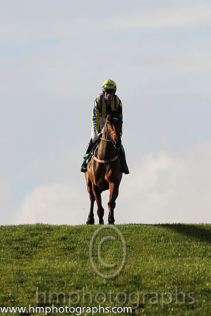 04 Beau Ballistic & R Loughran - 4th (1, royal blue and yellow stripes) - FT8E1127-12