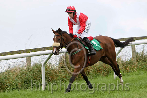 Latin Connection , Jockey K M Donoghue - Slipped - CU2D2225-e