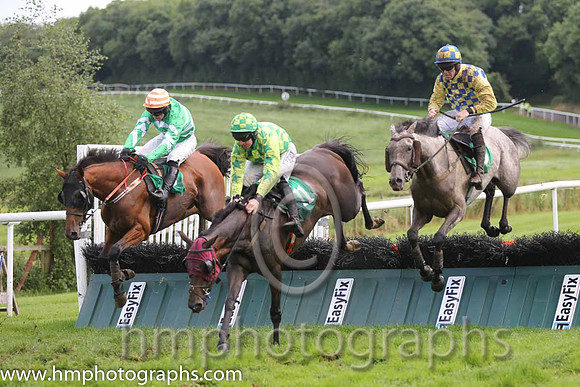 05 Gortmore Express & R Loughran - 5th (11, light green, dark green squares - AA1V0933