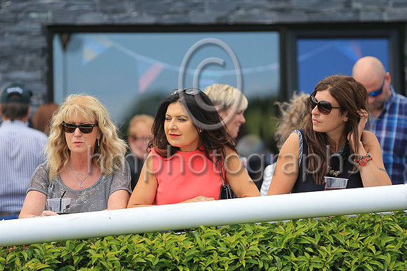 Spectators at Downpatrick Races