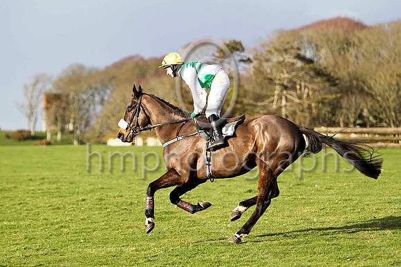 FT8E9550-e