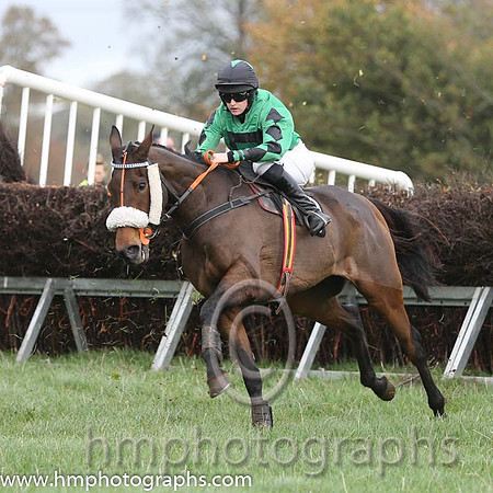04 Vicsaflia and Miss R Blackmore - - 04th (8 ,emerald green, black hollow box ) Trainer - Dermot McLoughlin