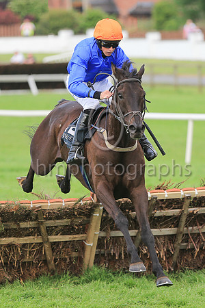 01st The White Volcano and C D Maxwell ( 12 , blue, orange cap ) Trainer - J Woods , Owner - Philip White