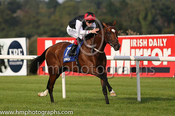 01 Free Eagle and P J Smullen - - 01st (7 ,black, white sleeves, red cap black star ) Trainer - D K Weld