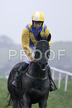Koko Lane , Winner , Jockey - Mr P W Mullins - FT8E5599-e