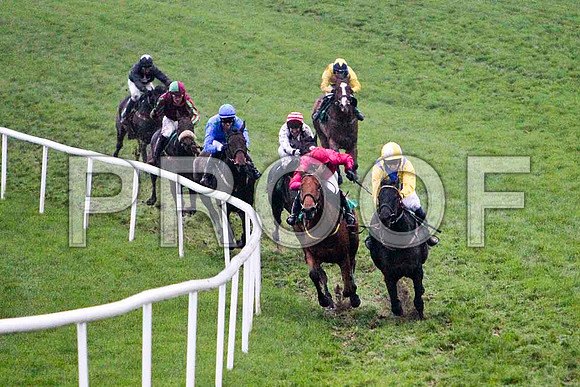 Griesenau in the lead, Jockey Miss N Carberry , 3rd - FT8E5555-e2