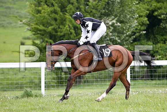 Molaise , PU, Jockey - M M O'Connor - FT8E2390-e