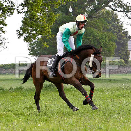 Balim Lad , PU, Jockey C McCartan - FT8E2710-e