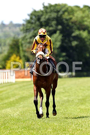 Pipers Choice , Jockey R J Manning , 6th - FT8E1228-e
