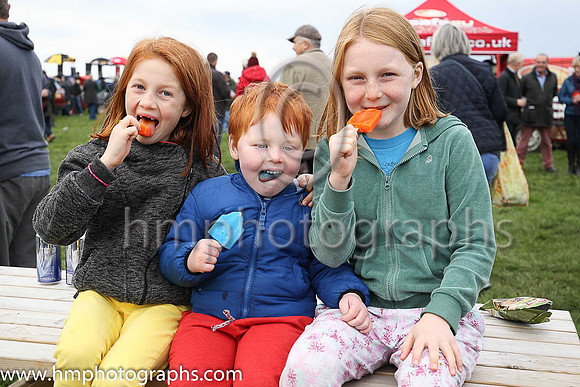 Maddy, Frankie and Gracie McNally enjoy their lollypops at The Route Point-To-Point Steeplechases at Portrush