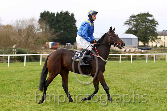 The Ring Is King & M Darcy - 6th (5, royal blue, yellow epaulettes) - FT8E7529-e