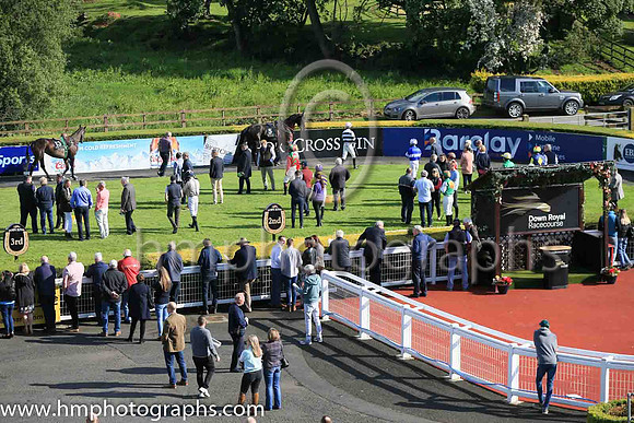 Parade ring at Down Royal on 3rd June 2022