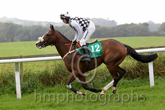 Wild and  Innocent , Jockey A E Lynch - 9th - CU2D2238-e
