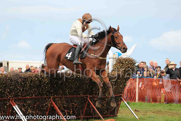 LOUGHVIEW LADDIE and M J O'Hare ( 4 , BEIGE,brown chevron; beige sleeves; brown cap ) Trainer: Mrs John B. Ross,, Owner : Macklin, Sean