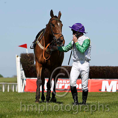 Tammys Hill - Fell, Jockey M W Bowes - FT8E2214-e