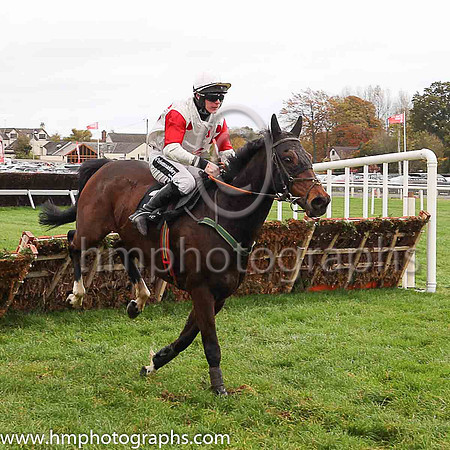 08th Macs Bach and P T Enright ( 3 , white, red spots ) Trainer - Ms M Flynn , Owner - Santry Power Walsh Syndicate