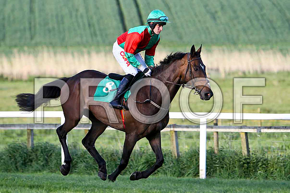 Macra Na Feirme , Fell, Jockey - Mr Barry O'Neill - FT8E3131-e