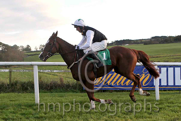 Bockey , Jockey Mr R O'Sullivan - 10th - FT8E4522-e