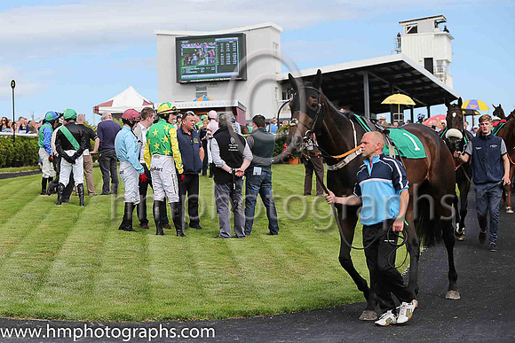 The parade ring at Downpatrick on Ladies Day