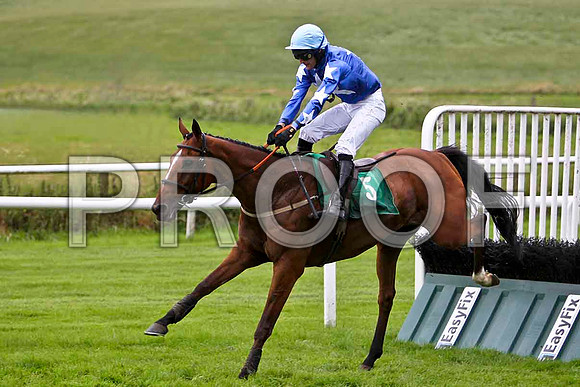 Don't Stop Now 12th, Jockey Mr D Macauley - CU2D0868-e