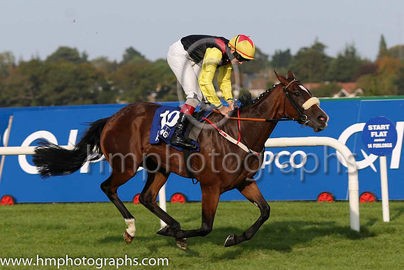 07 Maid of the Glens and R P Whelan - - 07th (10 ,black, red epaulettes ) Trainer - J P Shanahan