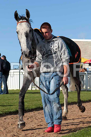 Hang Up My Boots 5th, Jockey A P ThorntonCU2D9307-e