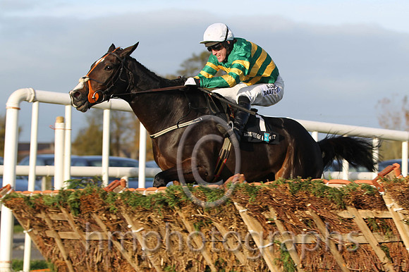 01 Jezki & A P McCoy - winner (1,emerald green and orange hooped ) - FT8E0048-2