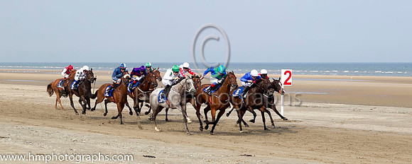 1 Our Max and S Foley - - 1st (3 ,white, emerald green large spots ) Trainer - Patrick Martin