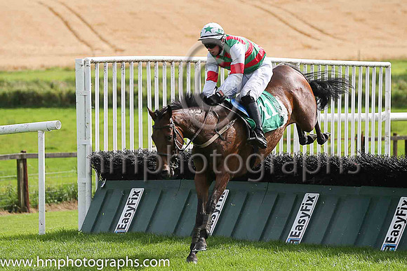 07th Purple Gang and P D Kennedy ( 11 , emerald grreen and red chevrons ) Trainer - S K Ryder , Owner - Purple Gang Syndicate