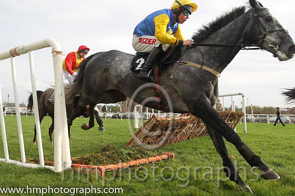 12 Young Palm and A E Lynch - - 12th (2 ,dark blue, yellow diamond sleeves ) Trainer - S R B Crawford