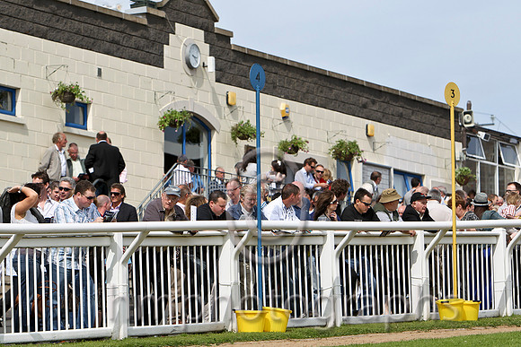 The parade ring - CU2D1623-e2