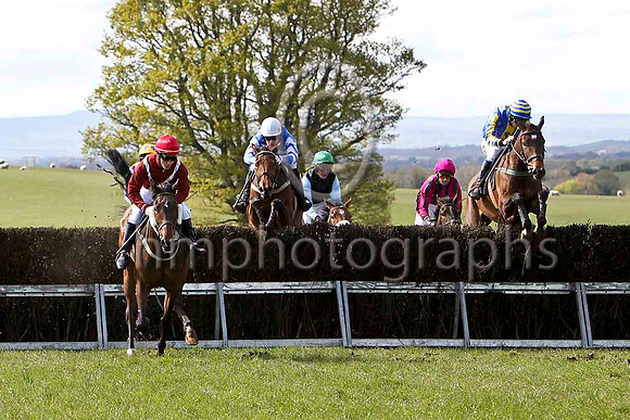 Knockans Breeze (7 red white cross belts) & J A Sloan - 2ndFT8E2359-e