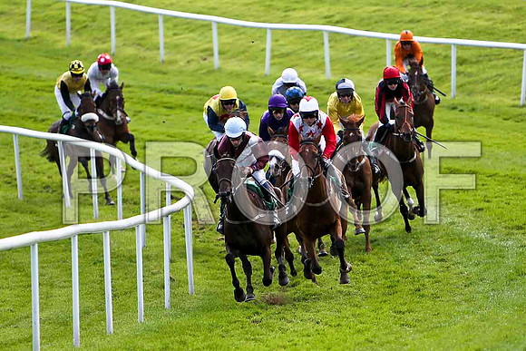 Lady Edina 9th , Jockey Mr J C Barry - CU2D1819-e
