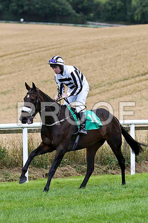 Cuilbeg Lady - 12th , Jockey S E Butler - FT8E3815-e