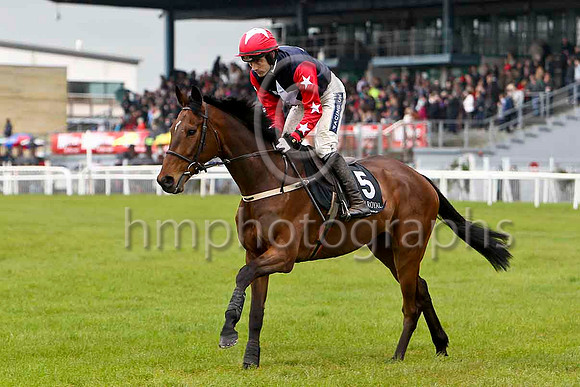 Terminal (5, dark blue, white star red sleeves white stars) & R Walsh - winner - FT8E2803-e2