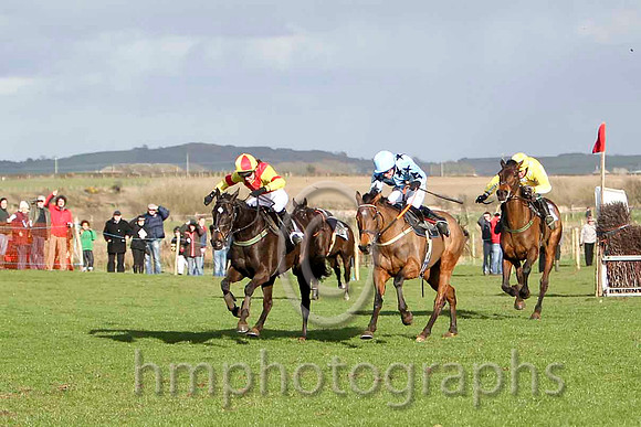 Paddys Angel & Ms K Ferris - joint winner (12, yellow, red cross belts) & Curnalee Coleen & J P McKeown - joint winner (4, light blue, navy stars) -FT8E9484-e