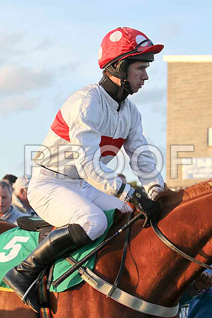 Mr S F Magee - FT8E3244-e