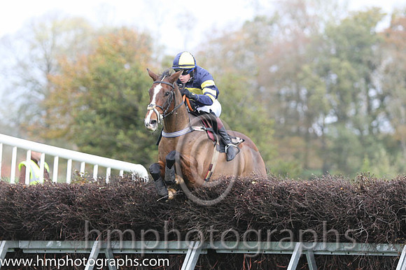 02 Serious Times and N O'Rourke - - 02nd (3 ,dark blue, yellow disc ) Trainer - Pater Maher
