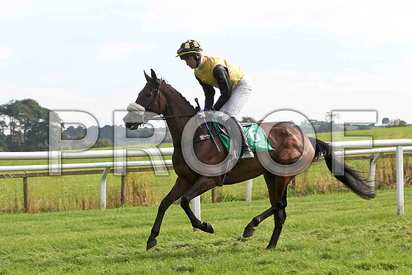 Lady Edina 9th , Jockey Mr J C Barry - FT8E3193-e