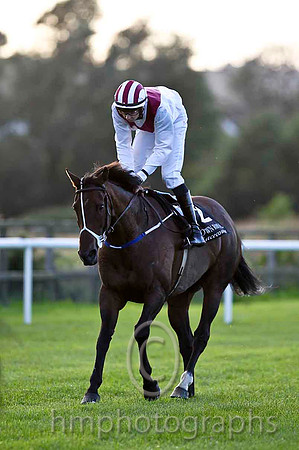 Polly Ella & J P O'Brien - 5th (2, White, maroon chevron) - CU2D3467-e