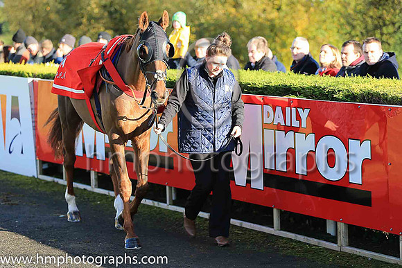 02nd Silviniaco Conti and N D Fehily ( 5 , pink,large purple spots ) Trainer - P F Nicholls , Owner - Chris Giles  Potensis Bloodstock Ltd