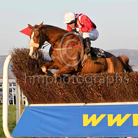 Leggy Lad - Winner , Jockey Mr M McConville - FT8E7212-e