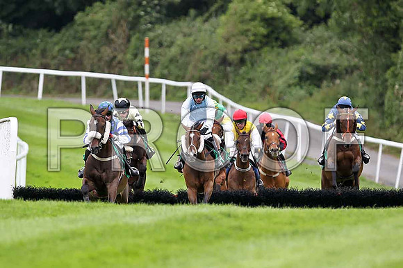 Lisselan Champion , Glen Orchy Lad ,  Fleeting Moment, Silverlord , Golden Grimshaw ( red cap), Turner Brown & Mr Dazza - FT8E1641-e