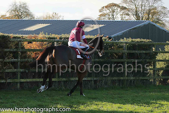 PU Don Poli and B J Geraghty ( 1 , maroon , white star, maroon cap ) Trainer - G Elliott , Owner - Gigginstown House Stud