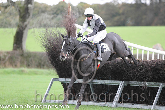 10 Ballycamp & Derek O'Connor - PU (3, black and white qtrd) - FT8E9405-57