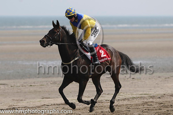9 Elusive In Paris and P Townend - - 9th (2 ,yellow and royal blue diabolo ) Trainer - M C Grassick
