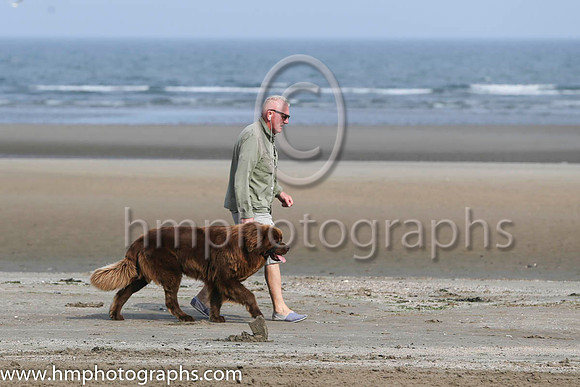 Laytown Races -AA1V3023